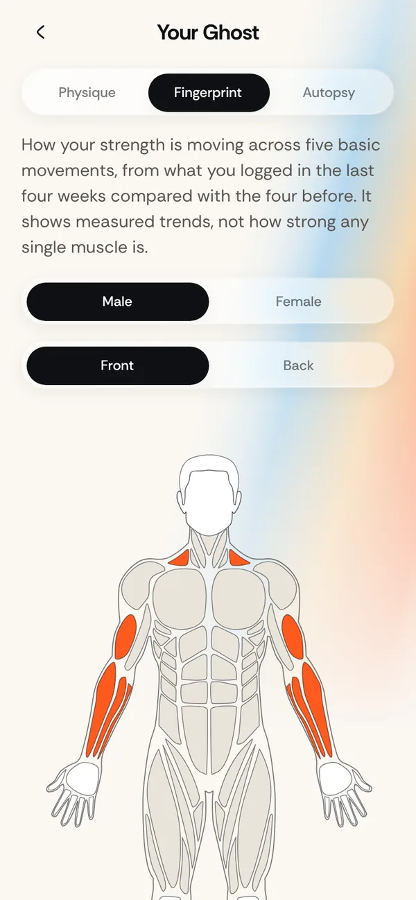 Strength Fingerprint across push, pull, squat, hinge and carry
